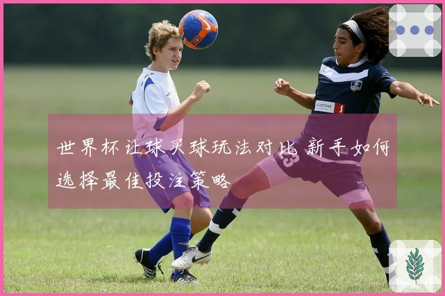 世界杯让球买球玩法对比 新手如何选择最佳投注策略