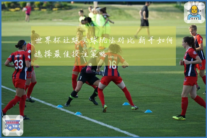 世界杯让球买球玩法对比 新手如何选择最佳投注策略