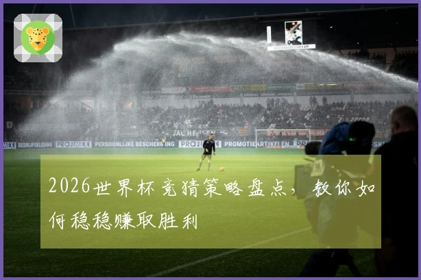 2026世界杯竞猜策略盘点，教你如何稳稳赚取胜利